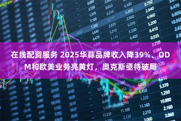 在线配资服务 2025华蒜品牌收入降39%、ODM和欧美业务亮黄灯，奥克斯亟待破局
